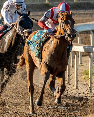 Image post by @thoroughbred_daily_news on Instagram