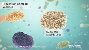 Video post by @nucleusmedicalmedia on YouTube