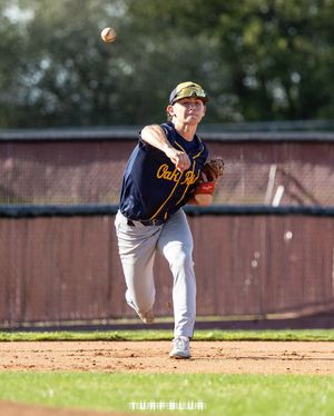 Image post by @turfblur on Instagram