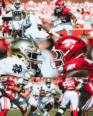 Image post by @nilsenblack on Instagram