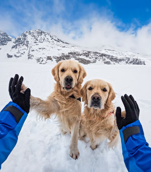 Image post by @gopro on Instagram