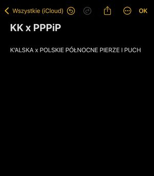 Image post by @k.kalska on Instagram