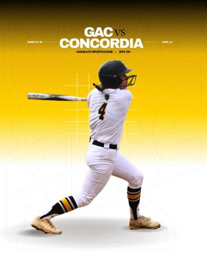 Image post by @gustiesoftball on Instagram