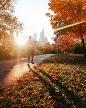 Image post by @discover_phl on Instagram