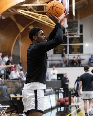 Image post by @gopetrelsmbb on Instagram