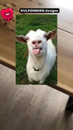 Video post by @kulpenberg_designs on Instagram