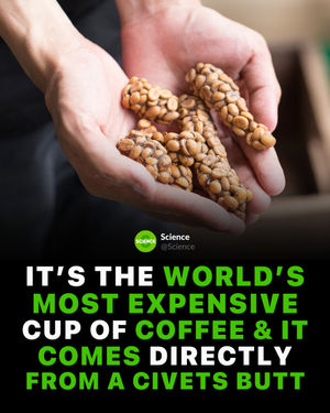 Image post by @science on Instagram