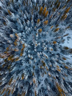 Image post by @mogieadamchik on Instagram
