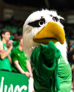 Image post by @unt on Instagram