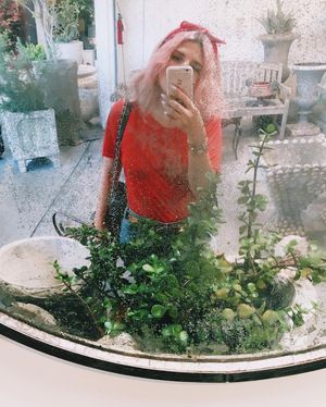 Image post by @mrkate on Instagram