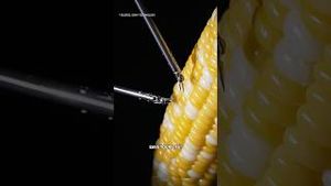 Video post by @cleoabram on YouTube