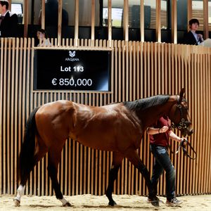 Image post by @juddmonte on Instagram