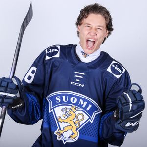Image post by @leijonatfi on Instagram