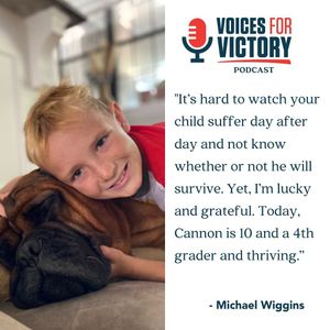 Image post by @thevfoundation on Instagram