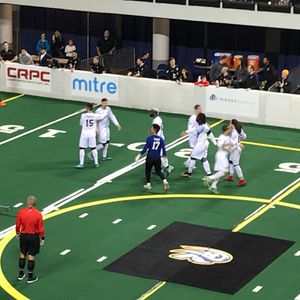 Image post by @stlouisambush on Instagram