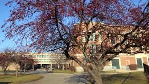 Video post by @kleenex5546 on YouTube