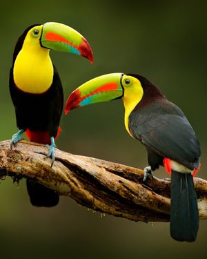 Image post by @discovery on Instagram