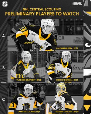 Image post by @bulldogsohl on Instagram