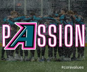 Image post by @stlouisambush on Instagram