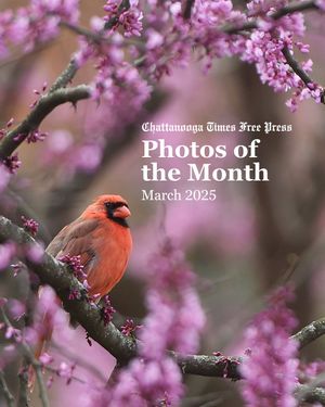 Image post by @chattanooga on Instagram