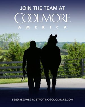 Image post by @coolmoreamerica on Instagram
