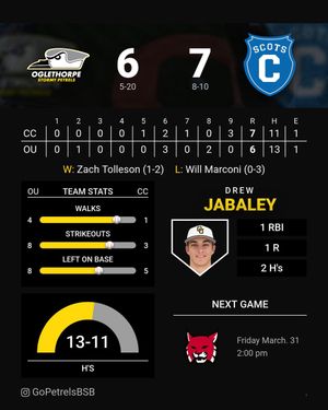 Image post by @GoPetrelsBSB on Twitter