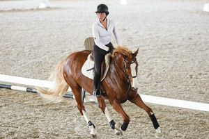 Image post by @aggieequestrian on Instagram