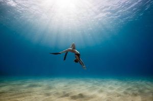 Image post by @canonusa on Instagram