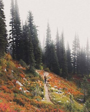 Image post by @bestwestern on Instagram