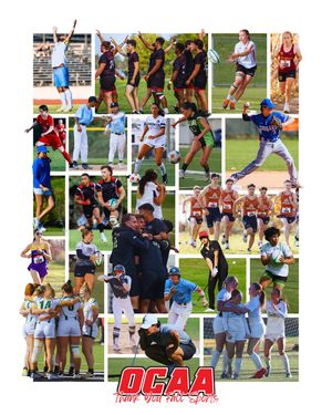 Image post by @theocaa on Instagram