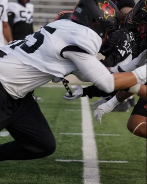 Video post by @UFLGamblers on Twitter