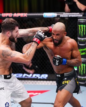 Image post by @ufc_brasil on Instagram