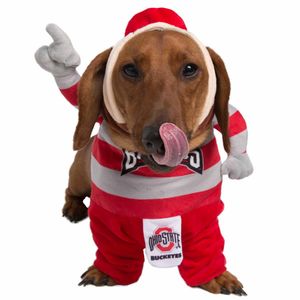 Image post by @Brutus_Buckeye on Twitter
