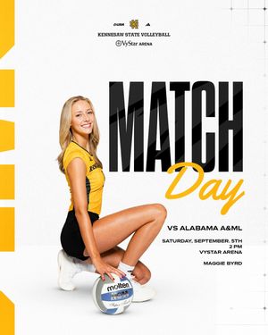 Image post by @ksuowlsvb on Instagram