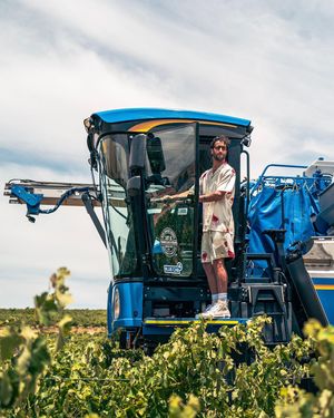 Image post by @dr3wines on Instagram