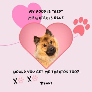 Image post by @tsukitheeurasier on Instagram