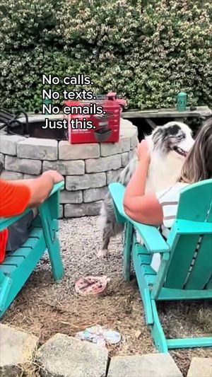 Video post by @ortho on TikTok