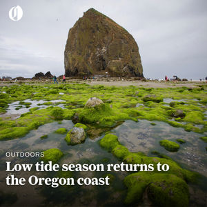Image post by @theoregonian on Instagram