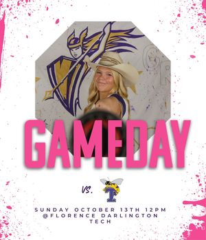 Image post by @valkyriessoftball on Instagram