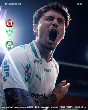 Image post by @palmeiras on Instagram