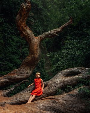 Image post by @sigmaphoto on Instagram