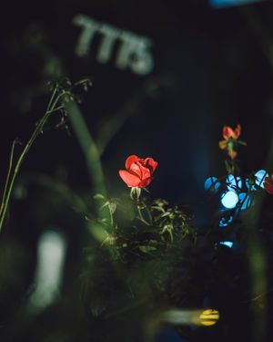 Image post by @brandonlarochelleproductions on Instagram