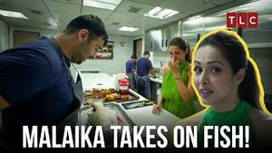Video post by @tlcindiaofficial on YouTube