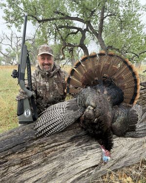 Image post by @truetimbercamo on Instagram