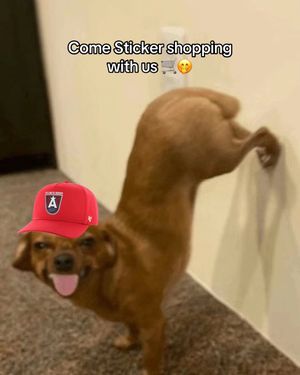 Video post by @atlantadream on TikTok