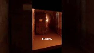 Video post by @trinitastvoficial on YouTube