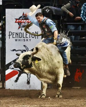 Image post by @moda_center on Instagram