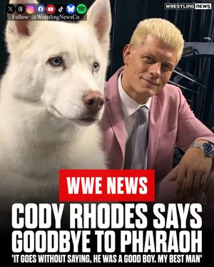 Image post by @wrestlingnewsco on Instagram