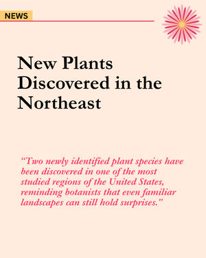 Image post by @ahs_gardening on Instagram