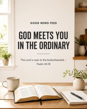 Image post by @goodnewsfeed on Instagram